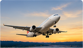 Travel Insurance